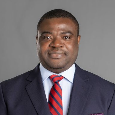 Prof. Damilola S. Olawuyi (SAN) 